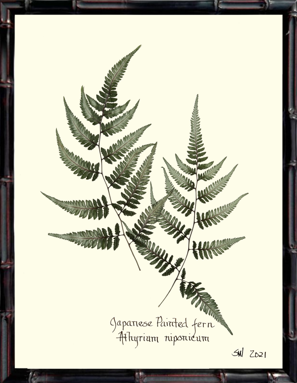 Framed Japanese Painted Fern Print