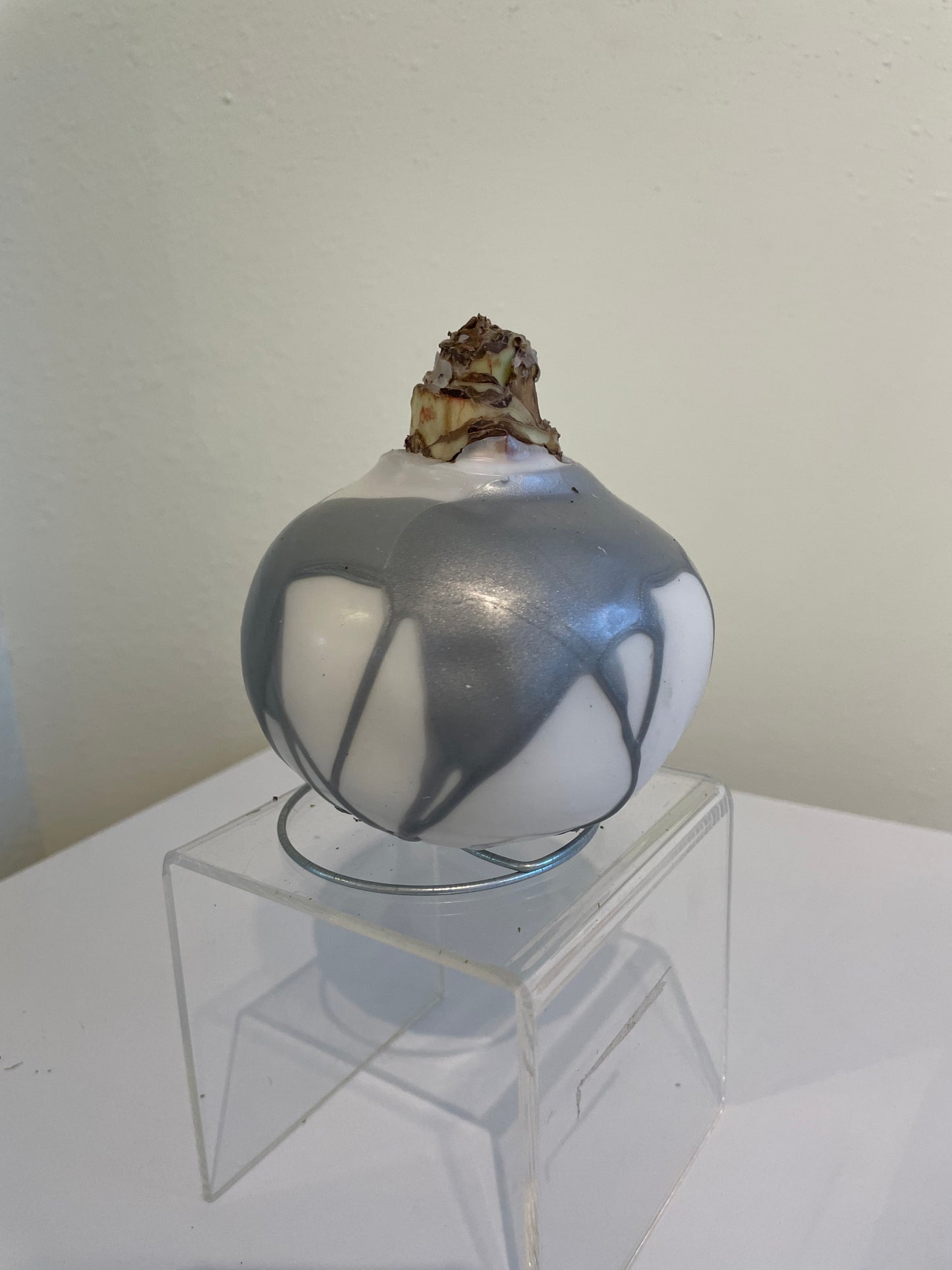 White Wax with Silver Splatter Bulb