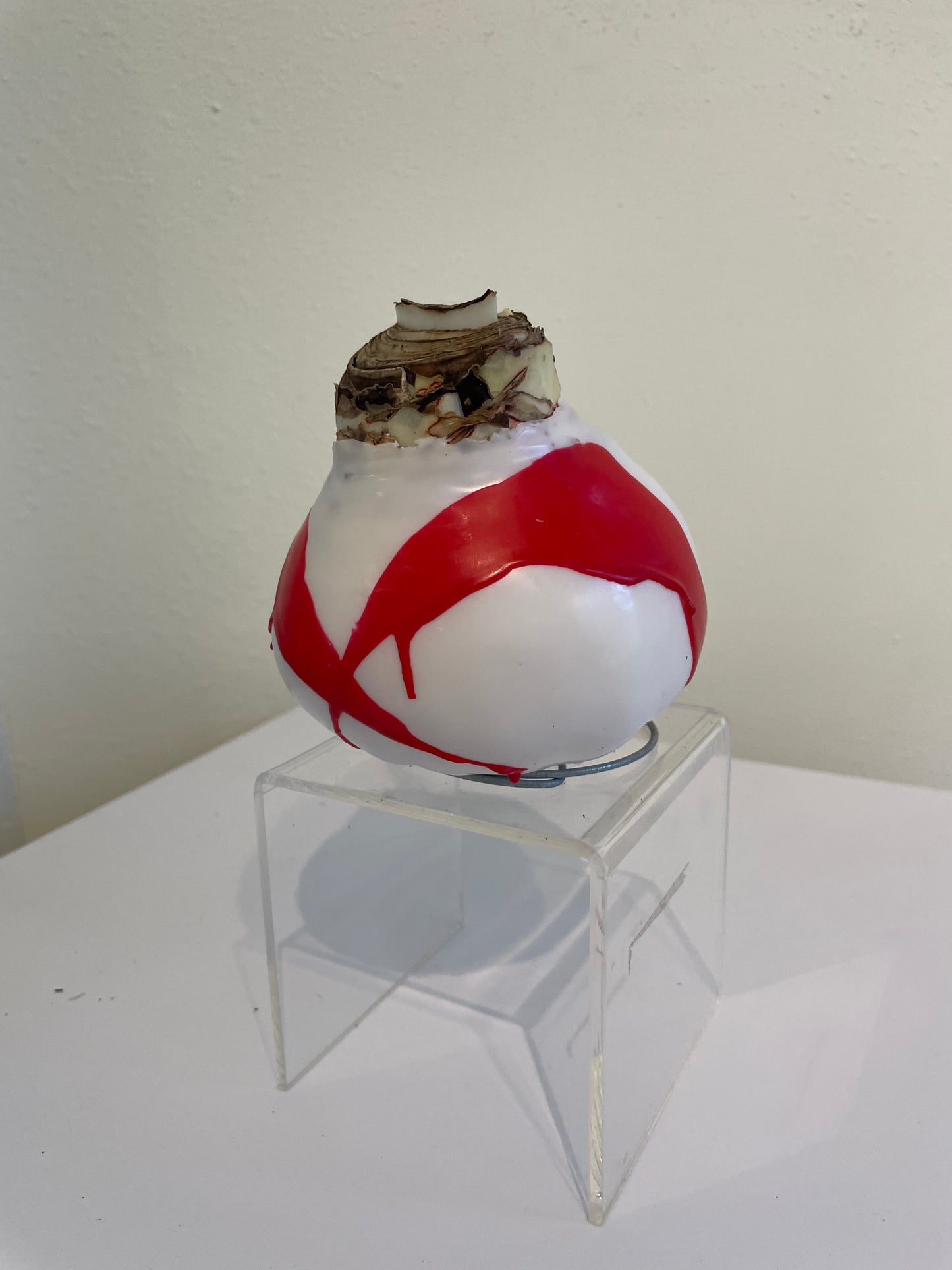 White Wax with Red Splatter Bulb
