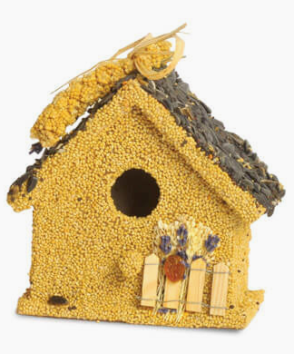 Birdie Cottage fence