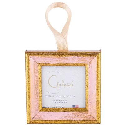 Mini Frame Ornament