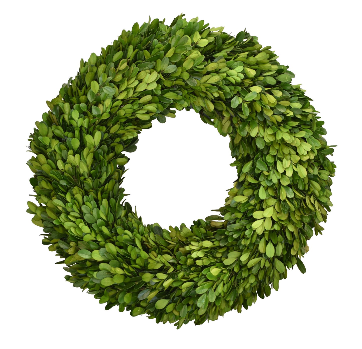 20" Round Boxwood Wreath