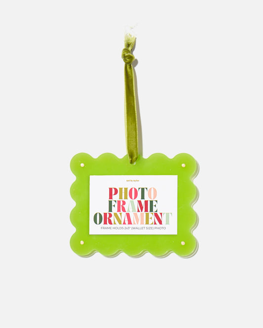 Kiwi Frame Ornament