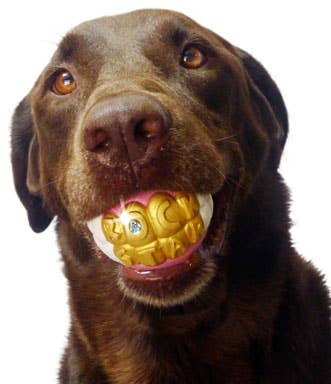 Humunga Bling - Durable Rubber Pet Chew Toy for Dogs
