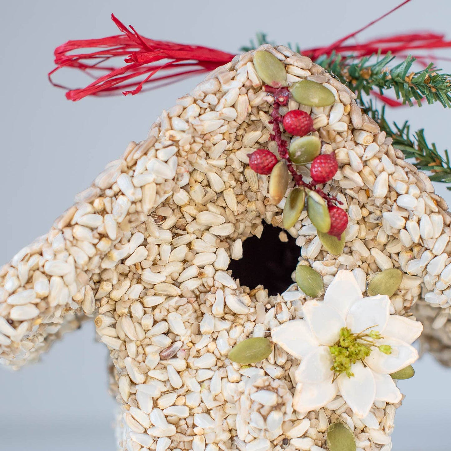 Poinsettia Birdie Cottage with flower