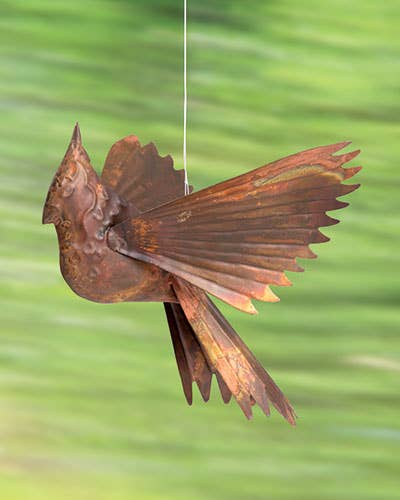 Flamed Copper Cardinal