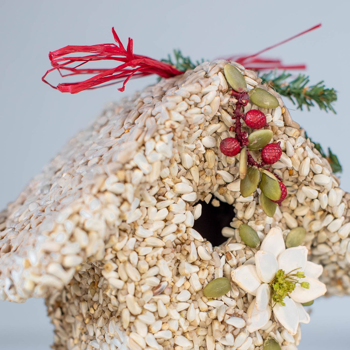 Poinsettia Birdie Cottage with flower