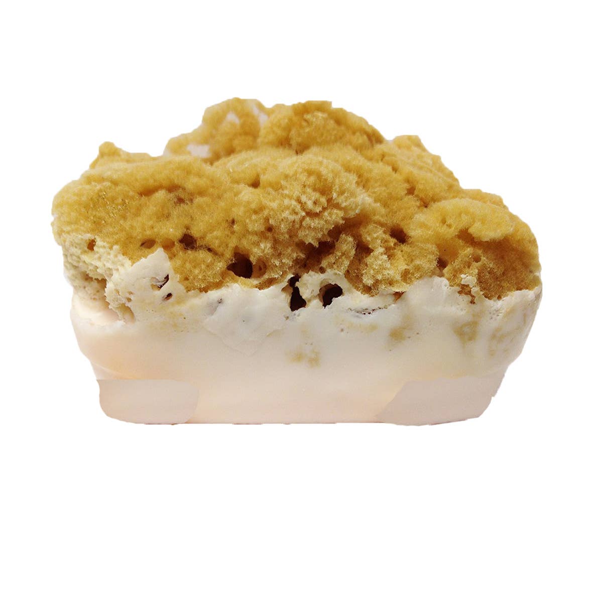 Marvellous Soap with natural Sponge