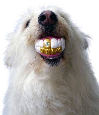 Humunga Bling - Durable Rubber Pet Chew Toy for Dogs