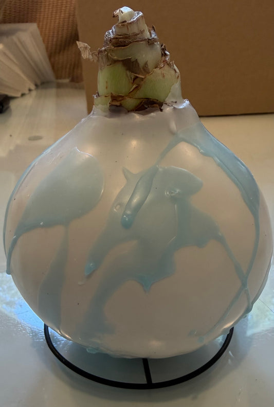 Blue Pastel Wax Amaryllis