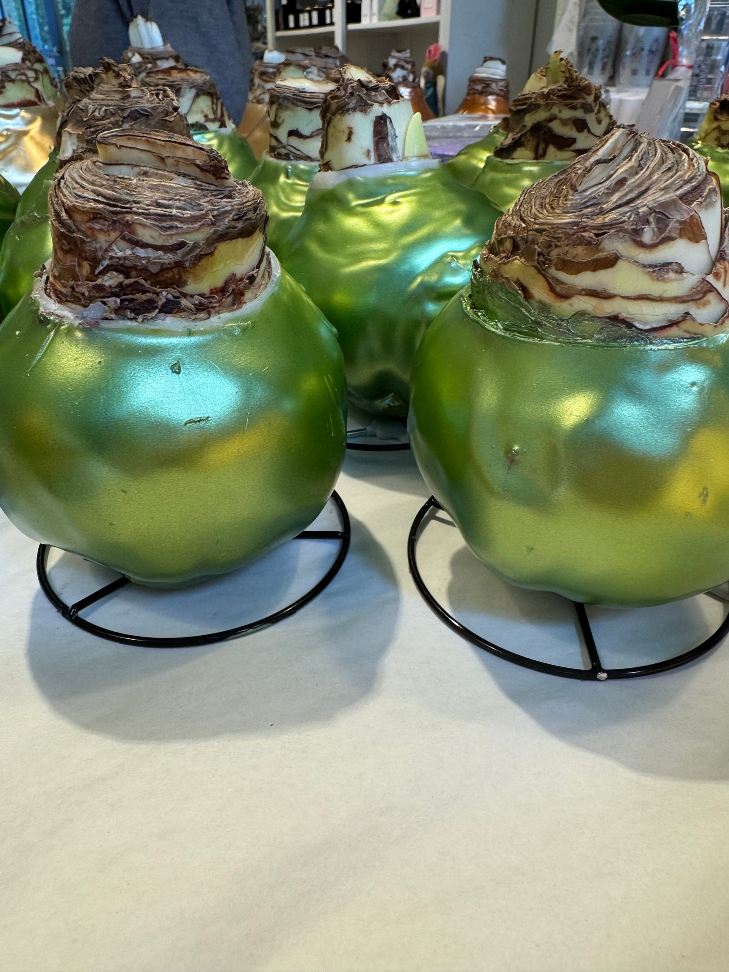 Olive Metallic waxed bulb