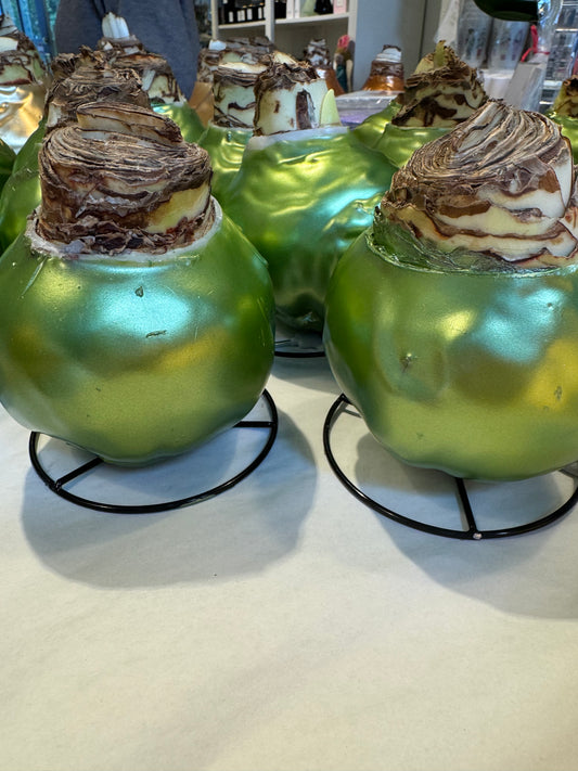 Olive Metallic waxed bulb