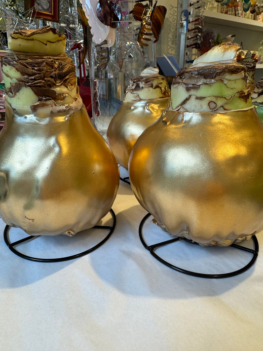 Gold Metallic waxed bulb