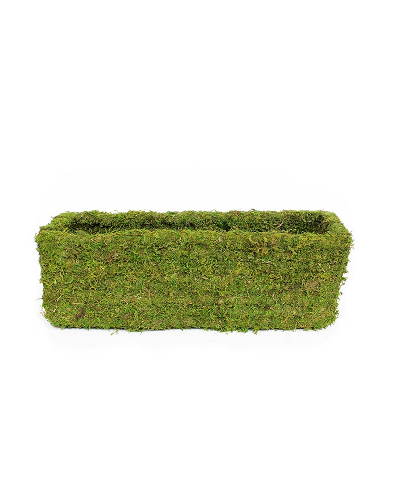 Window Box Planter