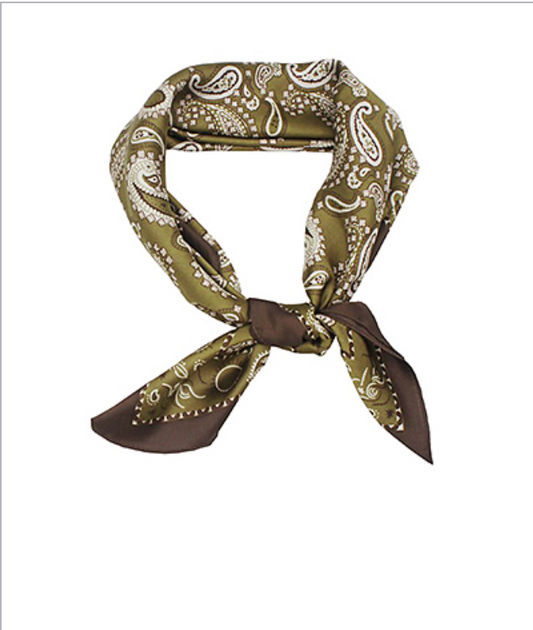Paisley Border Scarf