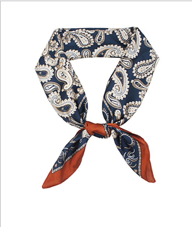 Paisley Border Scarf