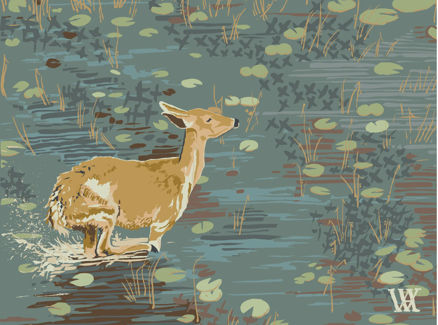Lily Pad Doe -5x7