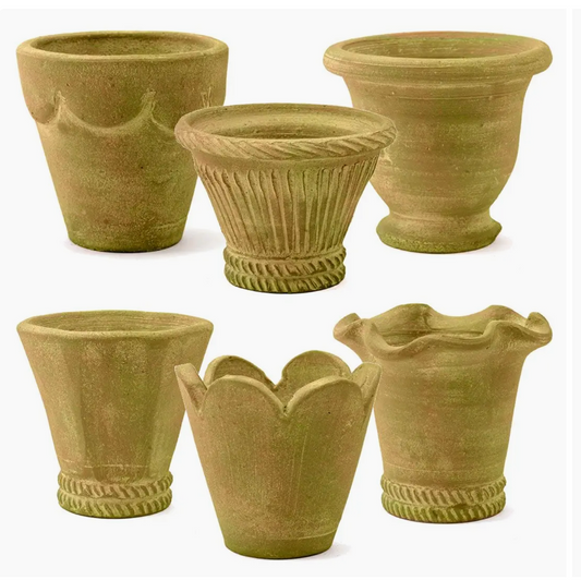 Tall Herb Clay Pots- Verde Natural