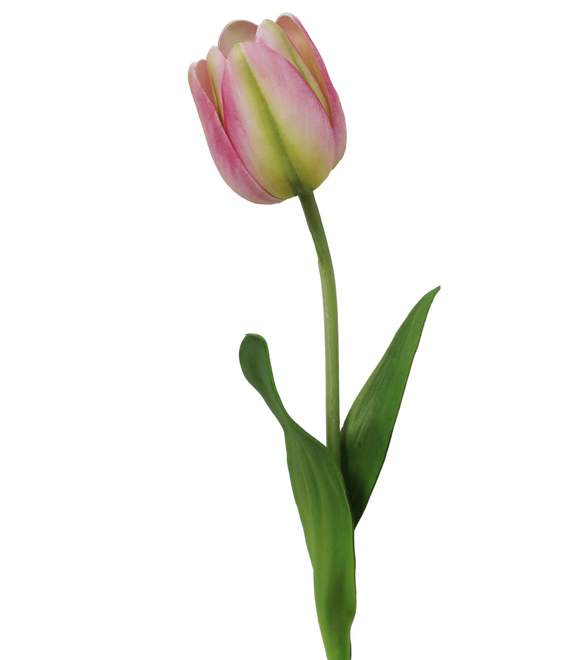 TULIP 15.5''
