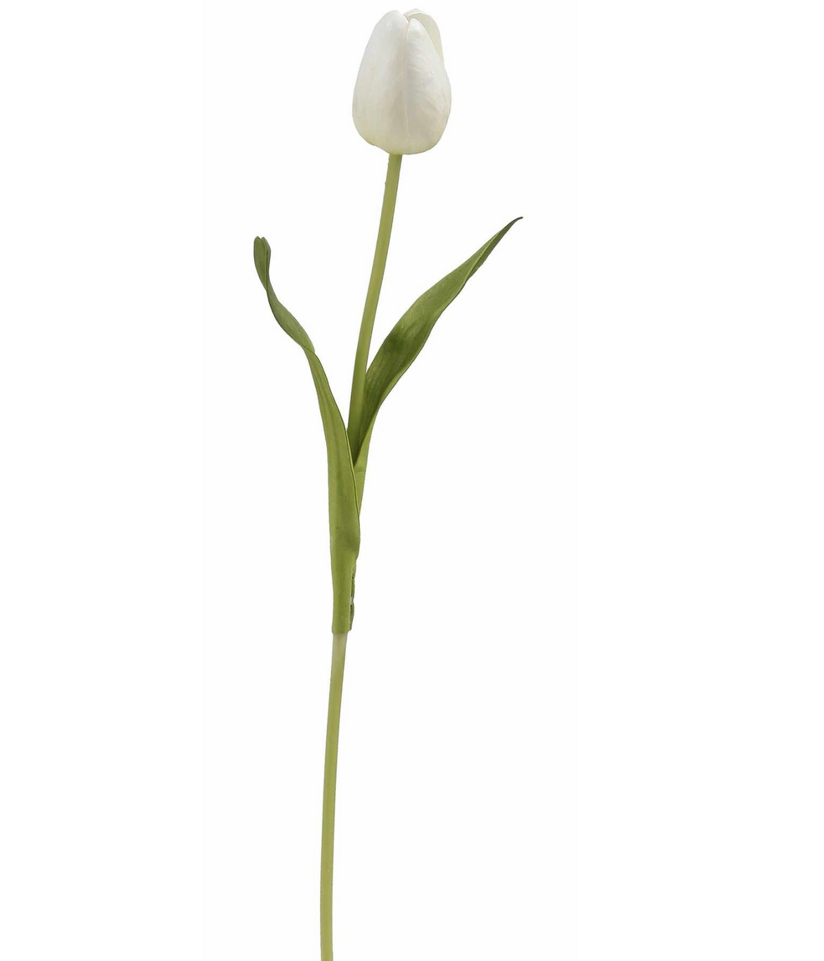 POINTED TULIP 15.5''