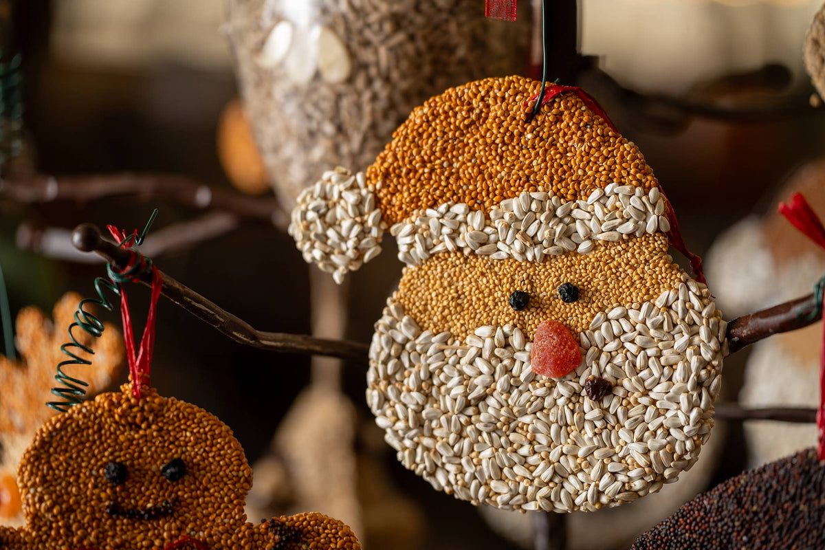 Santa Christmas Cookie