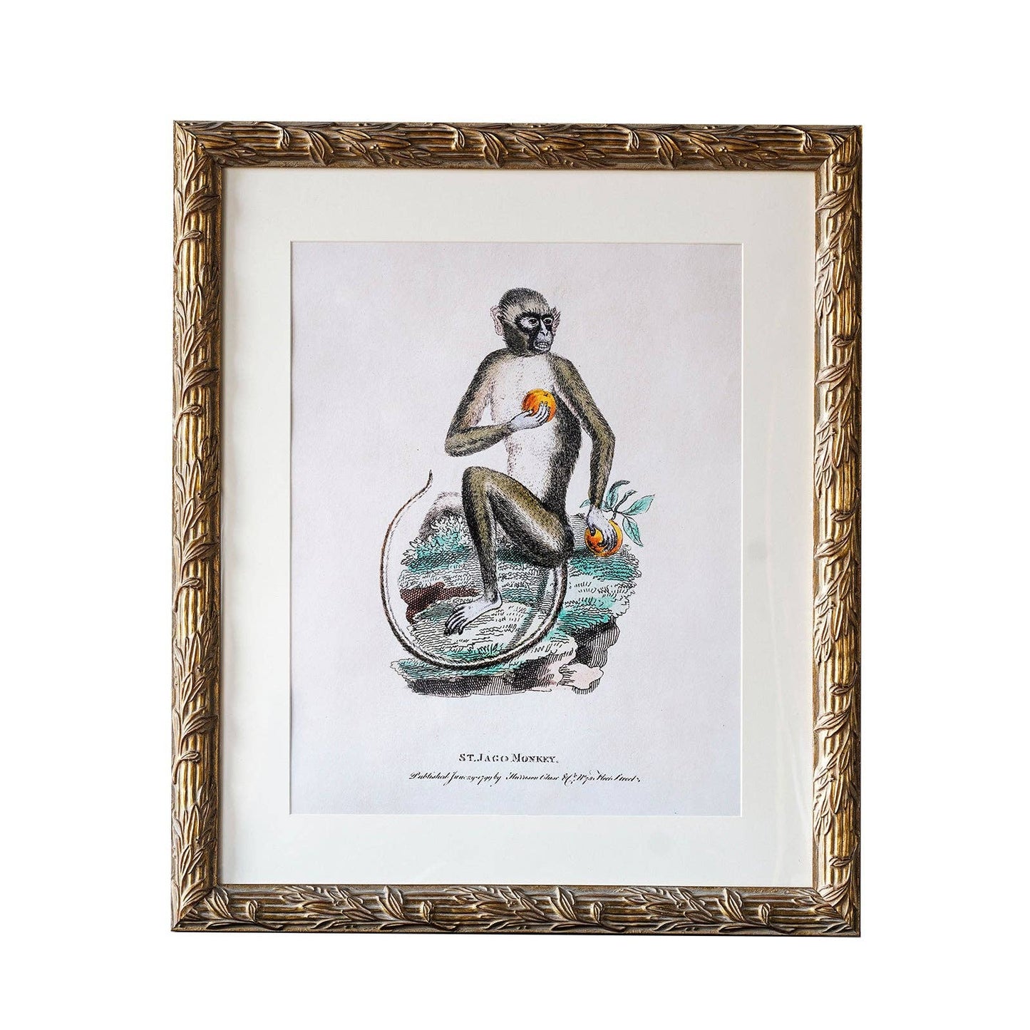 Hampshire Matted Frame