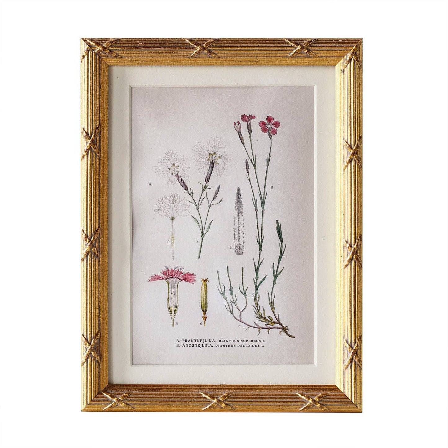 Arundel Matted Frame