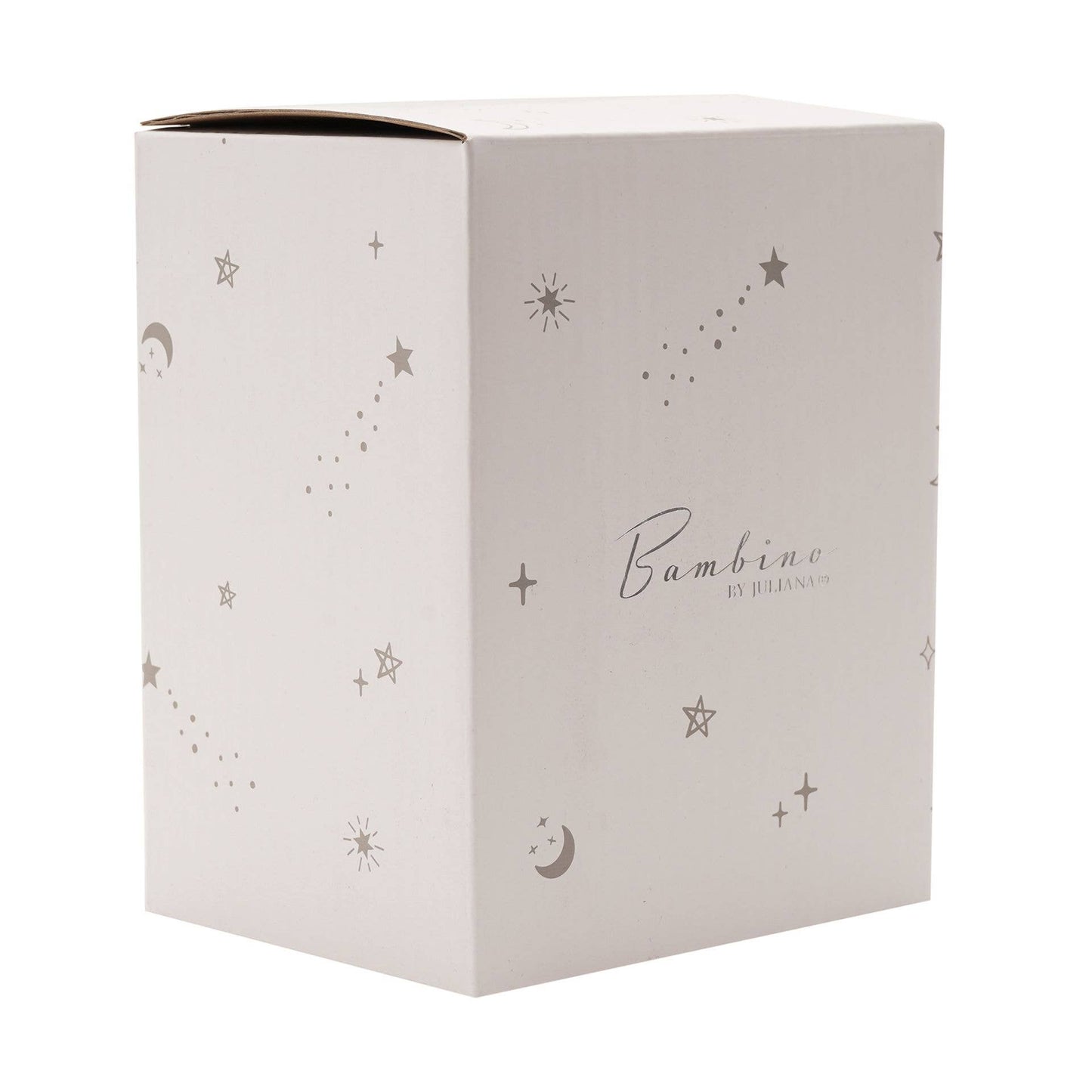 Teddy Bear Money Box