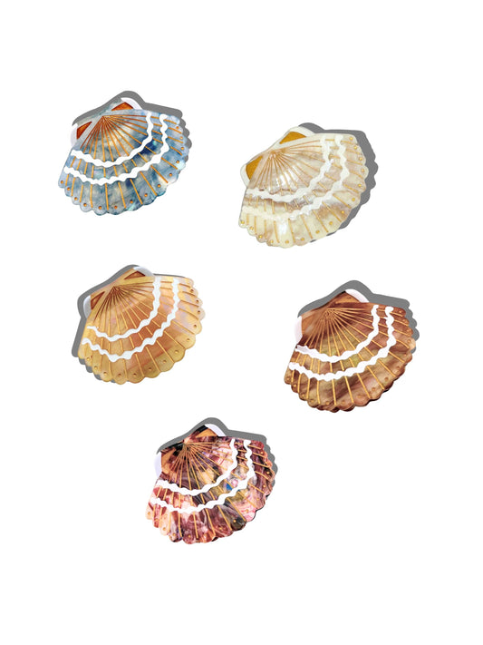 Hand-painted Mini Seashell Claw Hair Clip