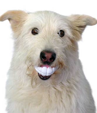 Humunga Chomp
