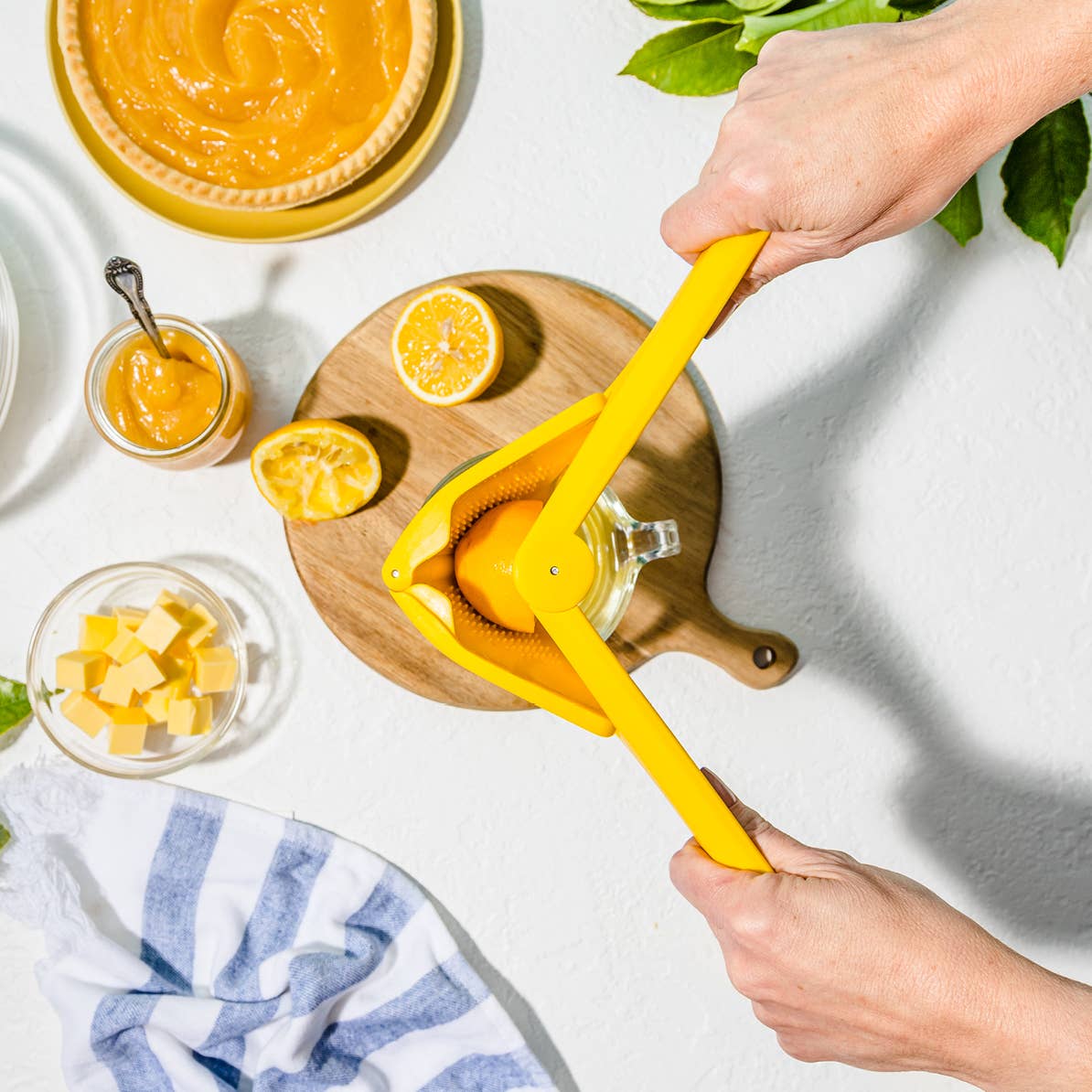 Fluicer® - Fold Flat Easy Citrus Juicer