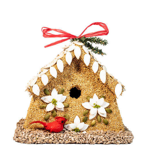 Poinsettia House