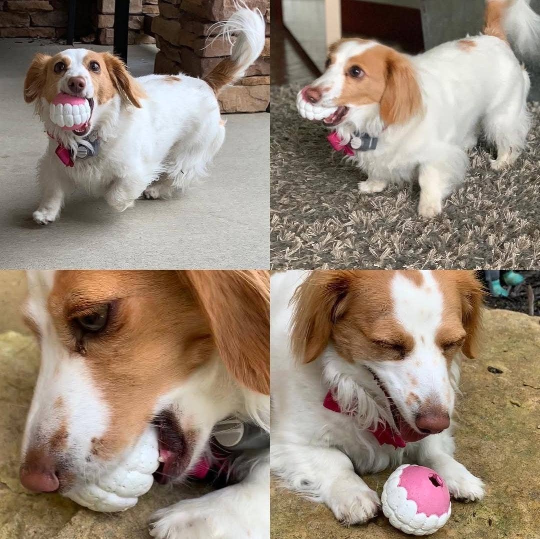 Humunga Chomp