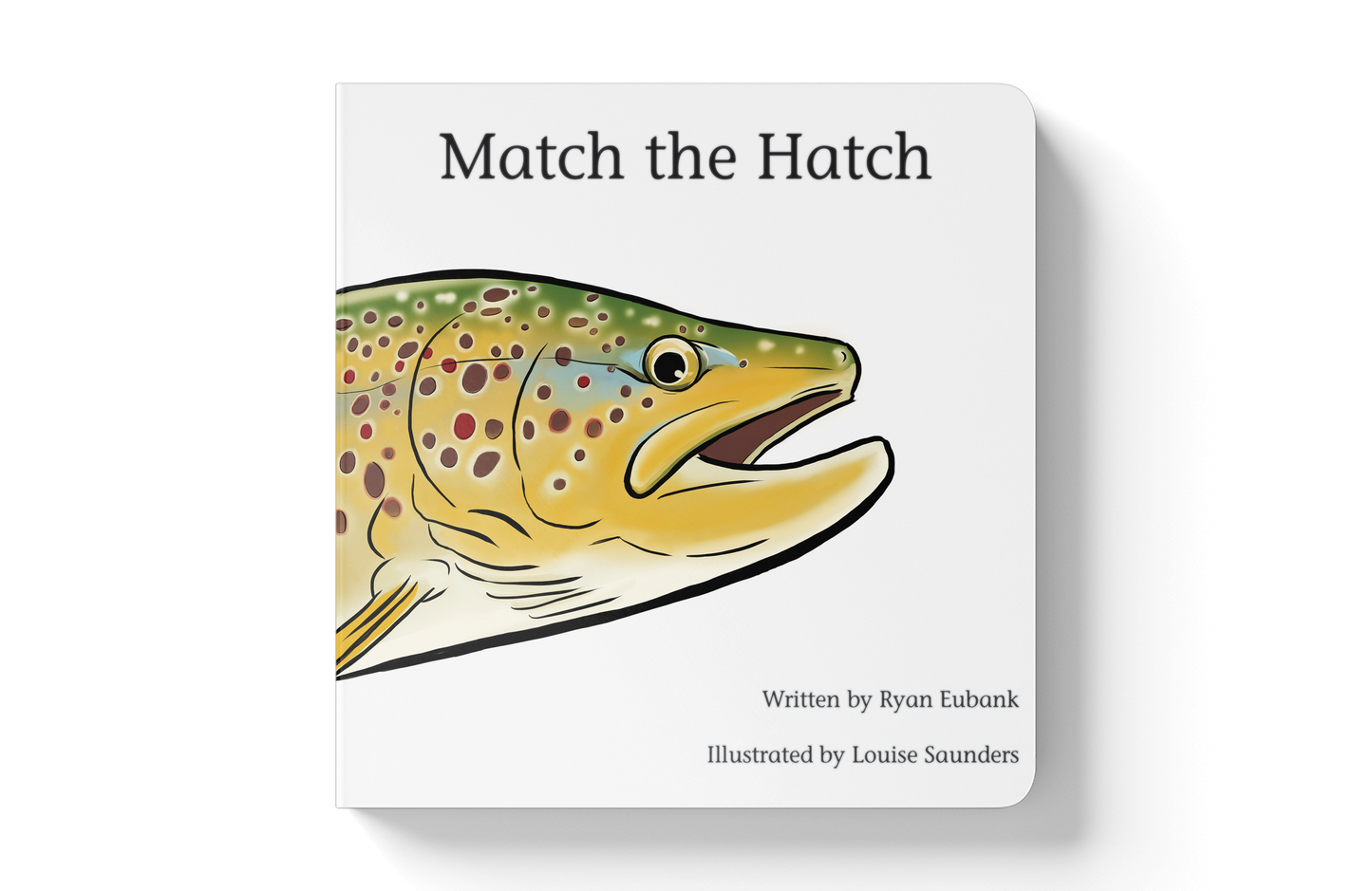 Match the Hatch Children's Book